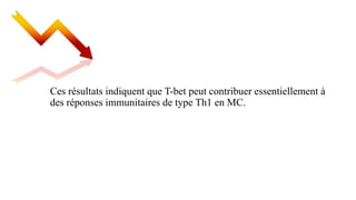 Ces résultats indiquent que T-bet peut contribuer essentiellement à
des réponses immunitaires de type Th1 en MC.
 