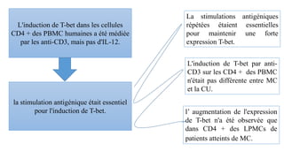L'induction de T-bet dans les cellules
CD4 + des PBMC humaines a été médiée
par les anti-CD3, mais pas d'IL-12.
la stimulation antigénique était essentiel
pour l'induction de T-bet.
L'induction de T-bet par anti-
CD3 sur les CD4 + des PBMC
n'était pas différente entre MC
et la CU.
La stimulations antigéniques
répétées étaient essentielles
pour maintenir une forte
expression T-bet.
l’ augmentation de l'expression
de T-bet n'a été observée que
dans CD4 + des LPMCs de
patients atteints de MC.
 