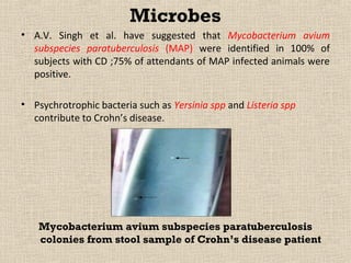 Microbes
• A.V. Singh et al. have suggested that Mycobacterium avium
  subspecies paratuberculosis (MAP) were identified in 100% of
  subjects with CD ;75% of attendants of MAP infected animals were
  positive.

• Psychrotrophic bacteria such as Yersinia spp and Listeria spp
  contribute to Crohn’s disease.




    Mycobacterium avium subspecies paratuberculosis
    colonies from stool sample of Crohn’s disease patient
 