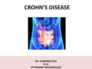 CROHN’S DISEASE
DR. CHAYANIKA DAS
Ph.D
VETERINARY MICROBIOLOGY
 