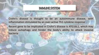 IMMUNE SYSTEM
• Crohn's disease is thought to be an autoimmune disease, with
inflammation stimulated by an over-active Th1 cytokine response.
• Recent gene to be implicated in Crohn's disease is ATG16L1, which may
induce autophagy and hinder the body's ability to attack invasive
bacteria
 