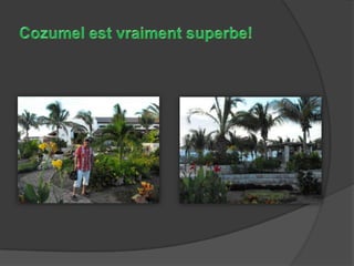 Cozumel est vraiment superbe!