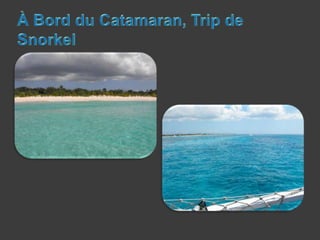 À Bord du Catamaran, Trip de Snorkel