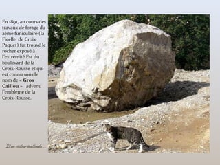 Et un visiteur inattendu…
En 1891, au cours des
travaux de forage du
2ème funiculaire (la
Ficelle de Croix
Paquet) fut trouvé le
rocher exposé à
l’extrémité Est du
boulevard de la
Croix-Rousse et qui
est connu sous le
nom de « Gros
Caillou » advenu
l’emblème de la
Croix-Rousse.
 