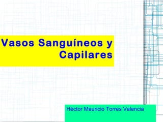Vasos Sanguíneos y
Capilares

Héctor Mauricio Torres Valencia

 