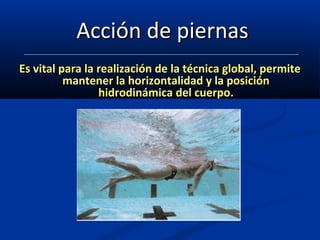 AAcccciióónn ddee ppiieerrnnaass 
EEss vviittaall ppaarraa llaa rreeaalliizzaacciióónn ddee llaa ttééccnniiccaa gglloobbaall,, ppeerrmmiittee 
mmaanntteenneerr llaa hhoorriizzoonnttaalliiddaadd yy llaa ppoossiicciióónn 
hhiiddrrooddiinnáámmiiccaa ddeell ccuueerrppoo.. 
 