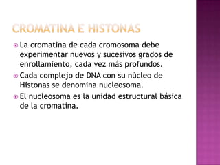  La
cromatina de cada cromosoma debe
experimentar nuevos y sucesivos grados de
enrollamiento, cada vez más profundos.
Cada complejo de DNA con su núcleo de
Histonas se denomina nucleosoma.
El nucleosoma es la unidad estructural básica
de la cromatina.