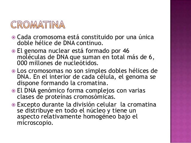 Cromatina