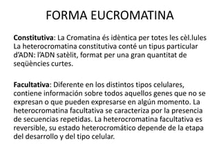 FORMA EUCROMATINA
Constitutiva: La Cromatina és idèntica per totes les cèl.lules
La heterocromatina constitutiva conté un tipus particular
d’ADN: l’ADN satèlit, format per una gran quantitat de
seqüències curtes.
Facultativa: Diferente en los distintos tipos celulares,
contiene información sobre todos aquellos genes que no se
expresan o que pueden expresarse en algún momento. La
heterocromatina facultativa se caracteriza por la presencia
de secuencias repetidas. La heterocromatina facultativa es
reversible, su estado heterocromático depende de la etapa
del desarrollo y del tipo celular.
 