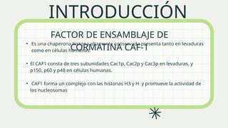 factor de ensamblaje de la cromatian1 caf1 | PPT