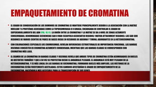 EMPAQUETAMIENTO DE CROMATINA
•

EL GRADO DE CONDENSACIÓN DE LOS DOMINIOS DE CROMATINA SE MANTIENE PRINCIPALMENTE DEBIDO A LA ASOCIACIÓN CON LA MATRIZ
NUCLEAR Y A PROTEÍNAS ASOCIADAS COMO LA TOPOISOMERASA II O GIRASA, ENCARGADA DE CONTROLAR EL GRADO DE
SUPERENROLLAMIENTO DEL ADN (FIG. 10.11). LA UNIÓN ENTRE LA CROMATINA Y LA MATRIZ SE DA A NIVEL DE ZONAS ALTAMENTE
CONSERVADAS, DENOMINADAS SECUENCIAS SAR O MAR (SCAFFOLD ASSOCIATED REGIONS/ MATRIX ATTACHMENT REGIONS). LAS SAR SON
REGIONES DE VARIOS CIENTOS DE PARES DE BASES RICAS EN RESIDUOS DE ADENINA Y TIMINA, ABUNDANTES EN LA HETEROCROMATINA.

•

CON COLORACIONES ESPECIALES LOS CROMOSOMAS, REVELAN DIFERENCIAS ESTRUCTURALES DE IMPORTANCIA FUNCIONAL. LAS BANDAS
OSCURAS CONSISTEN EN CROMATINA ALTAMENTE CONDENSADA, MIENTRAS QUE LAS BANDAS CLARAS SE CORRESPONDEN CON
CROMATINA MÁS LAXA.

•

EL EXAMEN DE LA CROMATINA EN BANDAS CLARAS Y OSCURAS REVELA QUE AMBOS TIPOS DE CROMATINA ESTÁN ACOMODADOS EN BUCLES
DE DISTINTOS TAMAÑOS Y QUE A SU VEZ SE PROYECTAN DESDE EL ANDAMIAJE PLEGADO. EL ANDAMIAJE ESTÁ MUY PLEGADO EN LA
HETEROCROMATINA, Y ES MÁS LINEAL EN LAS BANDAS DE EUCROMATINA, FORMANDO BUCLES MÁS AMPLIOS. LAS HISTONAS DE LA
EUCROMATINA ESTÁN FUERTEMENTE ACETILADAS. ESTOS CAMBIOS AFECTARÍAN EL GRADO DE EMPAQUETAMIENTO DE LA
EUCROMATINA, HACIÉNDOLA MÁS ACCESIBLE PARA LA TRANSCRIPCIÓN DE SUS GENES.

 