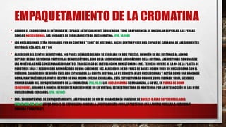 EMPAQUETAMIENTO DE LA CROMATINA
•

CUANDO EL CROMOSOMA EN INTERFASE SE ESPARCE ARTIFICIALMENTE SOBRE AGUA, TIENE LA APARIENCIA DE UN COLLAR DE PERLAS. LAS PERLAS
SON LOS NUCLEOSOMAS, LAS UNIDADES DE ENROLLAMIENTO DE LA CROMATINA. (FIG. 10.10B)

•

LOS NUCLEOSOMAS ESTÁN FORMADOS POR UN CENTRO O "CORE" DE HISTONAS. DICHO CENTRO POSEE DOS COPIAS DE CADA UNA DE LAS SIGUIENTES
HISTONAS: H2A; H2B; H3 Y H4

•

ALREDEDOR DEL CENTRO DE HISTONAS, 146 PARES DE BASES DEL ADN SE ENROLLAN EN DOS VUELTAS. LA UNIÓN DE LAS HISTONAS AL ADN NO
DEPENDE DE UNA SECUENCIA PARTICULAR DE NUCLEÓTIDOS, SINO DE LA SECUENCIA DE AMINOÁCIDOS DE LA HISTONA. LAS HISTONAS SON UNAS DE
LAS MOLÉCULAS MÁS CONSERVADAS DURANTE EL TRANSCURSO DE LA EVOLUCIÓN. LA HISTONA H4 EN EL TERNERO DIFIERE DE LA H4 DE LA PLANTA DE
POROTO EN SÓLO 2 RESIDUOS DE AMINOÁCIDOS DE UNA CADENA DE 102. ALREDEDOR DE 60 PARES DE BASES DE ADN UNEN UN NUCLEOSOMA CON EL
PRÓXIMO. CADA REGIÓN DE UNIÓN ES EL ADN ESPACIADOR. LA QUINTA HISTONA, LA H1, CONECTA A LOS NUCLEOSOMAS Y ACTÚA COMO UNA BANDA DE
GOMA, MANTENIÉNDOLOS JUNTOS DENTRO DE UNA MISMA CUERDA ENROLLADA. ESTA ESTRUCTURA SE CONOCE COMO FIBRA DE 10NM, SIENDO EL
PRIMER GRADO DEL EMPAQUETAMIENTO DE LA CROMATINA. (FIG. 10.9). LOS NUCLEOSOMAS SE ORGANIZAN, A SU VEZ, EN FIBRAS DE 30NM
(SOLENOIDE), GIRANDO A MANERA DE RESORTE ALREDEDOR DE UN EJE VIRTUAL. ESTA ESTRUCTURA ES MANTENIDA POR LA INTERACCIÓN DE LAS H1 DE
NUCLEOSOMAS CERCANOS. (FIG. 10.10C)

•

EN EL SIGUIENTE NIVEL DE EMPAQUETAMIENTO, LAS FIBRAS DE 30 NM SE ORGANIZAN EN UNA SERIE DE BUCLES O ASAS SUPERENROLLADAS.
(FIG.10.10D, FIG. 10.11) ESTOS BUCLES SE ESTABILIZAN GRACIAS A LA INTERACCIÓN CON LAS PROTEÍNAS DE LA MATRIZ NUCLEAR O ANDAMIAJE
NUCLEAR (“SCAFFOLD”).

 
