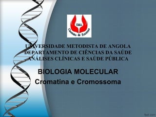  
 
UNIVERSIDADE METODISTA DE ANGOLA
DEPARTAMENTO DE CIÊNCIAS DA SAÚDE
ANÁLISES CLÍNICAS E SAÚDE PÚBLICA
BIOLOGIA MOLECULAR
Cromatina e Cromossoma
 