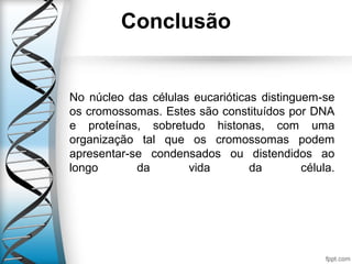 Conclusão
No núcleo das células eucarióticas distinguem-se
os cromossomas. Estes são constituídos por DNA
e proteínas, sobretudo histonas, com uma
organização tal que os cromossomas podem
apresentar-se condensados ou distendidos ao
longo da vida da célula.
 