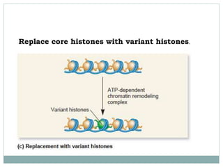 Replace core histones with variant histones.
 