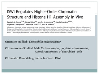 Organism studied : Drosophila melanogaster
Chromosomes Studied: Male X chromosome, polytene chromosome,
Autochromosomes of neuroblast cells
Chromatin Remodeling Factor Involved: ISWI
 