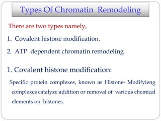 Types Of Chromatin Remodeling
There are two types namely,
1. Covalent histone modification.
2. ATP dependent chromatin remodeling
1. Covalent histone modification:
Specific protein complexes, known as Histone- Modifyieng
complexes catalyze addition or removal of various chemical
elements on histones.
 