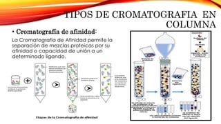 TIPOS DE CROMATOGRAFIA EN
COLUMNA
• Cromatografía de afinidad:
La Cromatografía de Afinidad permite la
separación de mezclas proteicas por su
afinidad o capacidad de unión a un
determinado ligando.
 
