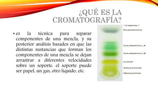 ¿QUÉ ES LA
CROMATOGRAFÍA?
• es la técnica para separar
componentes de una mezcla, y su
posterior análisis basados en que las
distintas sustancias que forman los
componentes de una mezcla se dejan
arrastrar a diferentes velocidades
sobre un soporte. el soporte puede
ser papel, un gas, otro líquido, etc.
 