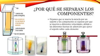 ¿POR QUÉ SE SEPARAN LOS
COMPONENTES?
• Dejamos que se mueva la mezcla por un
soporte y los componentes se separan por que
se mueven a diferentes velocidades, debido a
las diferentes fuerzas de adsorción que ejerce
el soporte sobre cada elemento
 