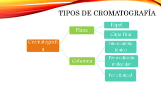 TIPOS DE CROMATOGRAFÍA
Cromatografí
a
Plana
Papel
Capa fina
Columna
Intercambio
iónico
Por exclusión
molecular
Por afinidad
 