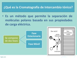¿Qué es la Cromatografía de Intercambio Iónico?
• Es un método que permite la separación de
moléculas polares basada en sus propiedades
de carga eléctrica.
Se compone
de dos fases
Fase
Estacionaria
Fase Móvil
 