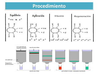 Procedimiento
 