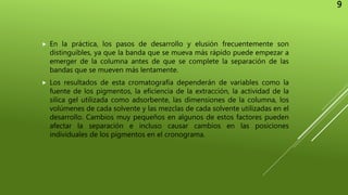  En la práctica, los pasos de desarrollo y elusión frecuentemente son
distinguibles, ya que la banda que se mueva más rápido puede empezar a
emerger de la columna antes de que se complete la separación de las
bandas que se mueven más lentamente.
 Los resultados de esta cromatografía dependerán de variables como la
fuente de los pigmentos, la eficiencia de la extracción, la actividad de la
silica gel utilizada como adsorbente, las dimensiones de la columna, los
volúmenes de cada solvente y las mezclas de cada solvente utilizadas en el
desarrollo. Cambios muy pequeños en algunos de estos factores pueden
afectar la separación e incluso causar cambios en las posiciones
individuales de los pigmentos en el cronograma.
9
 