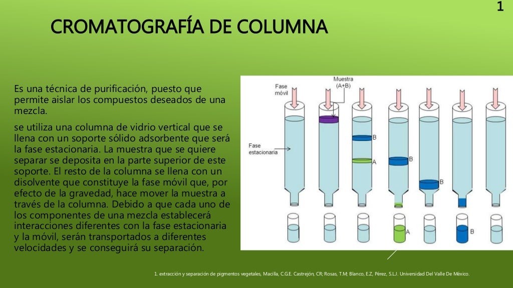 Cromatografía de columna
