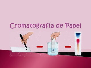 Cromatografía de Papel 