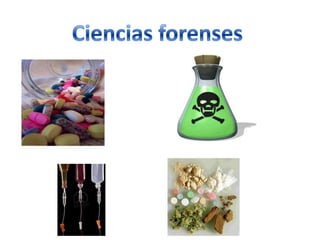 Cromatografía de partición