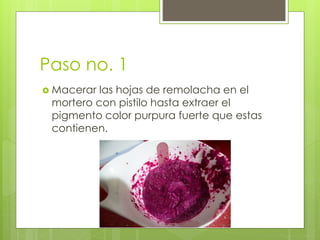 Paso no. 1
 Macerar las hojas de remolacha en el
mortero con pistilo hasta extraer el
pigmento color purpura fuerte que estas
contienen.
 