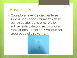 Paso no. 6
Cuando el nivel de disolvente se
situé a unos pocos milímetros de la
parte superior del cromatofolio,
extraer éste y dejarlo secar al aire.
Marcar con un lápiz el nivel que ha
alcanzado el disolvente.
 