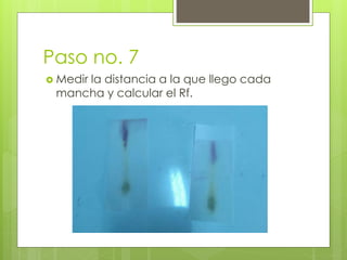 Paso no. 7
 Medir la distancia a la que llego cada
mancha y calcular el Rf.
 