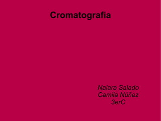 Cromatografia Naiara Salado Camila Núñez 3erC 