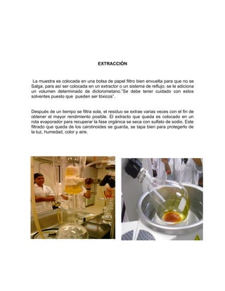 EXTRACCIÓN


 La muestra es colocada en una bolsa de papel filtro bien envuelta para que no se
Salga, para así ser colocada en un extractor o un sistema de reflujo; se le adiciona
un volumen determinado de diclorometano.”Se debe tener cuidado con estos
solventes puesto que pueden ser tóxicos”.


Después de un tiempo se filtra sola, el residuo se extrae varias veces con el fin de
obtener el mayor rendimiento posible. El extracto que queda es colocado en un
rota evaporador para recuperar la fase orgánica se seca con sulfato de sodio. Este
filtrado que queda de los carotinoides se guarda, se tapa bien para protegerlo de
la luz, humedad, color y aire.
 