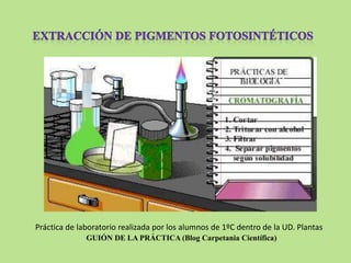 Práctica de laboratorio realizada por los alumnos de 1ºC dentro de la UD. Plantas
              GUIÓN DE LA PRÁCTICA (Blog Carpetania Científica)
 