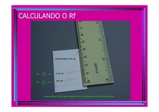 CALCULANDO O Rf
 