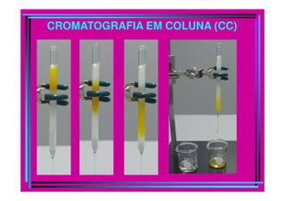CROMATOGRAFIA EM COLUNA (CC)
 
