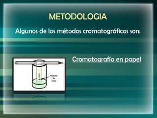 METODOLOGIA Algunos de los métodos cromatográficos son: Cromatografía en papel 