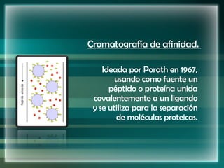 Cromatografía de afinidad.  Ideada por Porath en 1967, usando como fuente un péptido o proteína unida covalentemente a un ligando y se utiliza para la separación de moléculas proteicas. 