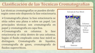 Las técnicas cromatografías se pueden dividir
según como este dispuesta la fase estacionaria.
Cromatografía plana: la fase estacionaria se
sitúa sobre una plana o sobre un papel. Las
principales técnicas son cromatografía en
papel y cromatografía en capa fina.
Cromatografía en columna: la fase
estacionaria se sitúa dentro de una columna.
Según el fluido empleado como fase móvil se
distinguen. Cromatografía de líquidos,
cromatografía de gases, cromatografía de
fluidos supercríticos.
Entrada de Fase Móvil
Columna
Cromatografía
Con
Relleno
Poroso
Detector
Señal
 