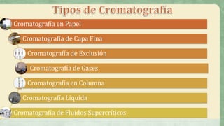 Cromatografía en Papel
Cromatografía de Capa Fina
Cromatografía de Exclusión
Cromatografía de Gases
Cromatografía en Columna
Cromatografía Liquida
Cromatografía de Fluidos Supercríticos
 