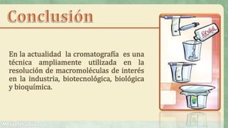 En la actualidad la cromatografía es una
técnica ampliamente utilizada en la
resolución de macromoléculas de interés
en la industria, biotecnológica, biológica
y bioquímica.
 