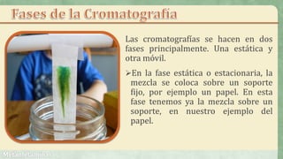 Las cromatografías se hacen en dos
fases principalmente. Una estática y
otra móvil.
En la fase estática o estacionaria, la
mezcla se coloca sobre un soporte
fijo, por ejemplo un papel. En esta
fase tenemos ya la mezcla sobre un
soporte, en nuestro ejemplo del
papel.
 