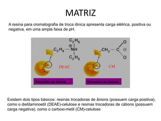 A resina para cromatografia de troca iônica apresenta carga elétrica, positiva ou
negativa, em uma ampla faixa de pH.
Trocadora de ânions Trocadora de cátions
DEAE CM
Existem dois tipos básicos: resinas trocadoras de ânions (possuem carga positiva),
como o dietilaminoetil (DEAE)-celulose e resinas trocadoras de cátions (possuem
carga negativa), como o carboxi-metil (CM)-celulose
MATRIZ
 