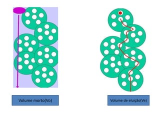 Volume morto(Vo) Volume de eluição(Ve)
 