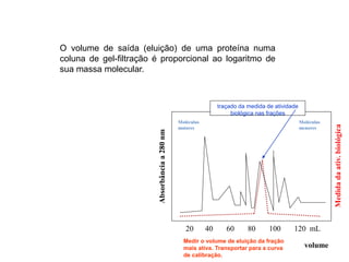 O volume de saída (eluição) de uma proteína numa
coluna de gel-filtração é proporcional ao logaritmo de
sua massa molecular.
Moléculas
maiores
Moléculas
menores
Absorbânciaa280nm
Medidadaativ.biológica
20 40 60 80 100 120 mL
volume
Medir o volume de eluição da fração
mais ativa. Transportar para a curva
de calibração.
traçado da medida de atividade
biológica nas frações
 