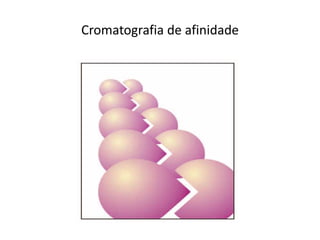 Cromatografia de afinidade
 