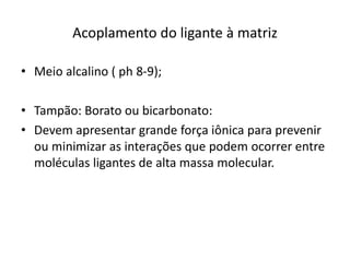 Acoplamento do ligante à matriz
• Meio alcalino ( ph 8-9);
• Tampão: Borato ou bicarbonato:
• Devem apresentar grande força iônica para prevenir
ou minimizar as interações que podem ocorrer entre
moléculas ligantes de alta massa molecular.
 